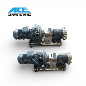 Bomba Rotativa Eléctrica de Acero Inoxidable SS304 de Grado Alimenticio al Mejor Precio para el Tratamiento de Aguas Residuales y Riego de Jarabes Alimenticios - Product Image 4