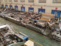 Automatische productielijn voor kleine tot middelgrote productie van diepvriesfrieten, 100 kg/uur - 500 kg/uur
