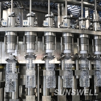 Machine de remplissage automatique d'eau pure pour boissons, homologuée CE, 6000-12000 BPH, haute efficacité, pour bouteilles en plastique contrôlées par PLC