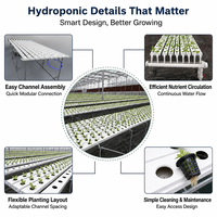 Système hydroponique NFT professionnel en PVC pour la production efficace de légumes-feuilles et de laitues