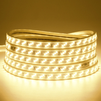 Bande lumineuse LED smd 2835, avec éclairage blanc chaud, étanche IP65, 1 pièce
