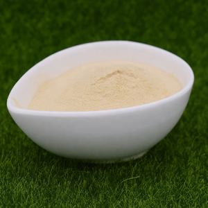 Fertilizante de Calcio Quelado con Aminoácidos Orgánicos de Liberación Rápida, Polvo Amarillo Claro para Agricultura - Product Image 4