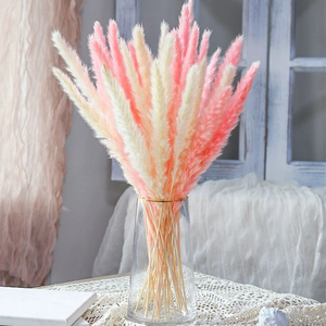 Plumas esponjosas de hierba de pampas pequeñas conservadas a la moda, ideales para arreglos de mini jarrones, decoración Bohemia y <span class=keywords><strong>detalles</strong></span> de boda - Product Image 3
