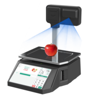 Timbangan Digital AI DP01 6/15kg Printer Label Kecepatan Tinggi Printer Dual Printer Struk Timbangan Retail OIML CE NETP OEM/ODM