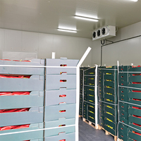 Fabrieksdirect grote opslaginstallatie voor fruit- en groentezaden met koude opslag