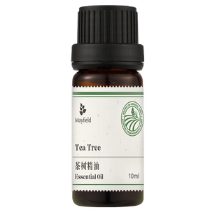 100% Minyak Pohon Teh Australia Murni Distilasi Uap Tanpa Pengencer Antibakteri untuk Jerawat Grosir OEM Diterima MOQ Rendah - Product Image 1