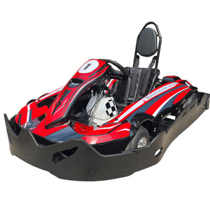 <span class=keywords><strong>Kart</strong></span> de combustible con batería de litio de alta velocidad de lujo para juegos de carreras comerciales para adultos a la venta - Product Image 1