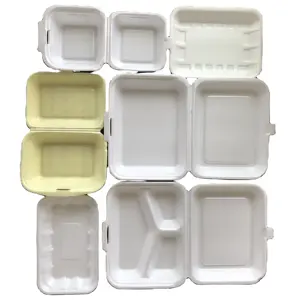 Haiyuan-máquina de caja de alimentos de espuma PS, máquina de fabricación de contenedores de alimentos, línea de producción de bandejas de huevos