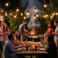 Guirlande solaire LED pour extérieur, décoration de mariage, fête, jardin, patio, lumières solaires à suspendre