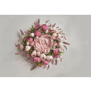 Fondo de fotografía para bebé recién nacido, tela de fondo para estudio fotográfico Digital, accesorios de tela para fotos al por mayor - Product Image 1