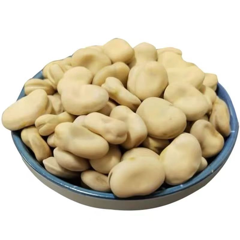 Crispy Bean for Food Usage