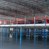 Plateforme en structure acier d'usine, rayonnages de stockage en acier robustes, multi-niveaux, système boulonné thermolaqué