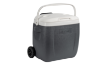 Vente d'usine à roulettes 26L glacière en plastique bière fruits glacière pour Camping en plein air Barbecue