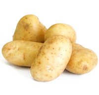 Poudre de peptide de pomme de terre de qualité alimentaire 98% Protéine de pomme de terre hydrolysée blanche Solanum Tuberosum Extrait végétal de peptide