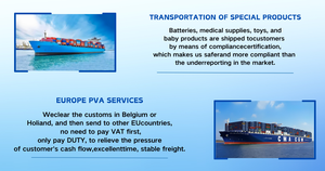 3-7天空运代理Dhl快递货运代理中国到美国检验质量控制服务 - Product Image 5