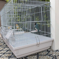 Cage à oiseaux portable Dayang de style moderne, motif uni, en métal blanc, avec cloison en soie de jade, construction en fer