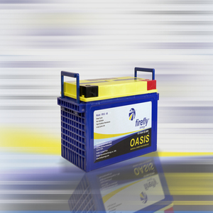 Batterie au gel VRLA AGM FIREFLY OASIS Advanced Microcel Carbon Foam 12V 65AH à décharge profonde, anti-déversement, longue durée de vie, IP65 - Product Image 5