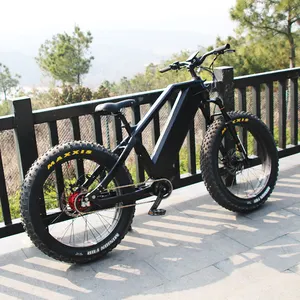 강력한 팻 타이어 내부 5 단 ebike 자동 변속기 전기 자전거 미드 드라이브 모터 전기 오프로드 먼지 자전거