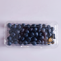 Kotak Kemasan Buah Berry Stroberi Blueberry Ramah Lingkungan dari Plastik PET Transparan 250G Sekali Pakai dengan Lubang