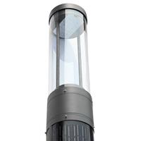 Panneau solaire 100W avec cellule Sunpower, module PV monocristallin en silicium, tube pour lampadaire solaire, lampe de jardin, lampe de chemin