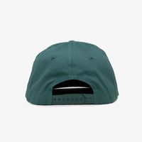 Casquette de baseball snapback 5 panneaux unisexe pour adultes, broderie 3D, impression numérique, 100% coton, personnalisable, sportive, toutes saisons, haute qualité
