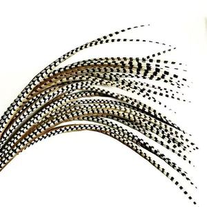 Plumas de Cola de Faisán Reeves Naturales de 140-150 cm de Largo, en Oferta, para Disfraces de Carnaval y Sombreros de Samba - Product Image 1