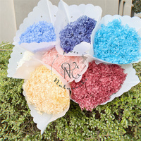 Nouvelles Idées de Produits 2026 – Têtes de Fleurs d'Hydrangea Anna Stylées et Préservées en Gros pour Arrangements Événementiels, Couronnes et Fournitures Florales Séchées