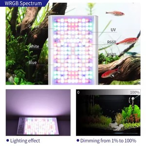 WEEK AQUA LED WEEKAQUA Z250 RGB/WRGB 70w <span class=keywords><strong>Lampe</strong></span> LED à spectre complet pour <span class=keywords><strong>aquarium</strong></span> d'<span class=keywords><strong>eau</strong></span> <span class=keywords><strong>douce</strong></span> planté <span class=keywords><strong>Lampe</strong></span> d'<span class=keywords><strong>aquarium</strong></span> Z250 PRO - Product Image 5