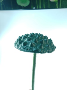 Brinquedo Sensorial Ecológico de Lótus Artificial Realista Grande com Sementes para Decoração de Halloween, Formatura e Casa, 85 cm Verde - Product Image 3