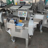 Hete Verkoop Commerciële Tweekoppige Snijmachine Sterke Motor Snijden Aardappel Ui Kool Fruit Shredder Chopper Groenten