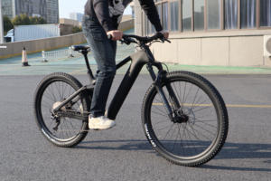 Bicicleta Eléctrica de Montaña de Carbono para Bicicleta de Montaña de 29 Pulgadas, Cuadro de Fibra de Carbono, Bafang M820 para MTB - Product Image 4