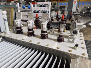 Transformateur de distribution triphasé immergé dans l'huile 315 kVA 630 kVA 1000 kVA 1600 kVA 20 kV, conception IEC, transformateurs MT/HT (S13) S13 20 kV - Product Image 5