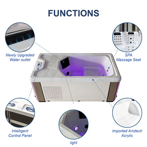 Hot Sale Ice <b>Bath</b> Cold Plunge Tub White Acrylic All in One with Chiller Filter and LED <b>Light</b> - Product Image 5