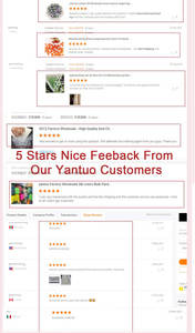 Hochwertiges SS6-SS20 Luftviolettfarbene Glaskristall nicht heiß fixierbar Flachbett Nagelkunst Strass-Dekorationen - Product Image 4