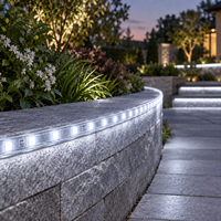 Bande lumineuse LED NEXCELL 6500K blanc froid pour chantier, rouleau de 50 m, éclairage flexible haute tension
