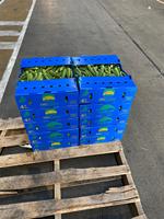 Recyclable et réutilisable PP boîte en plastique ondulé stockage des aliments pour légumes Fruits maïs gombo boîte d'emballage