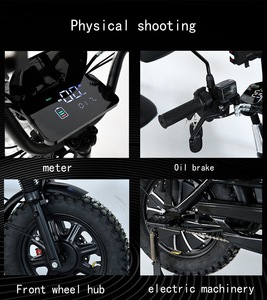 Bicicletas Eléctricas de Carga Rusas de 16 Pulgadas, Más Vendidas, <span class=keywords><strong>con</strong></span> Doble Batería, Equipadas <span class=keywords><strong>con</strong></span> <span class=keywords><strong>Dos</strong></span> Conjuntos de Baterías de Litio de 48V 20Ah - Product Image 6