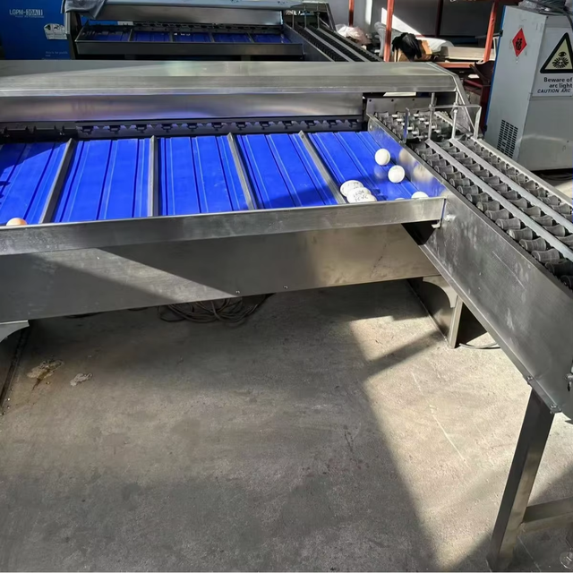 Egg Grading Machine Precise Sorting Minimal Error Gentle Handling High Speed for Egg Processing Lines Poultry Farms China 1