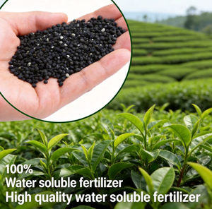 Extrait d'algues de haute pureté en poudre, acide alginique, engrais organique entièrement soluble dans l'eau, favorise l'enracinement des plantes, agriculture - Product Image 2