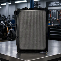 Nouveau radiateur de refroidissement de moteur de camion de remplacement pour XD028 (Marque XD)
