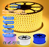 Bande LED RGB haute tension approuvée CE ROHS, étanche, SMD 5050, corps en PVC, 6000K, IP65, télécommande, éclairage à intensité variable