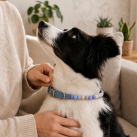 Collier pour chien personnalisé avec perles, en silicone souple et cuir PU, réglable, fait main, confortable, élégant, plusieurs couleurs