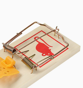 Piège <span class=keywords><strong>à</strong></span> souris classique en métal <span class=keywords><strong>à</strong></span> ressort, base en bois, piège <span class=keywords><strong>à</strong></span> rats <span class=keywords><strong>à</strong></span> haute sensibilité, tueur de rongeurs pour la lutte antiparasitaire <span class=keywords><strong>à</strong></span> la maison et au jardin - Product Image 5