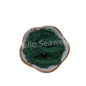 Poudre de Spiruline en Gros - Superaliment Végétalien Brut avec 60% de Protéines pour Compléments Alimentaires - Product Image 3