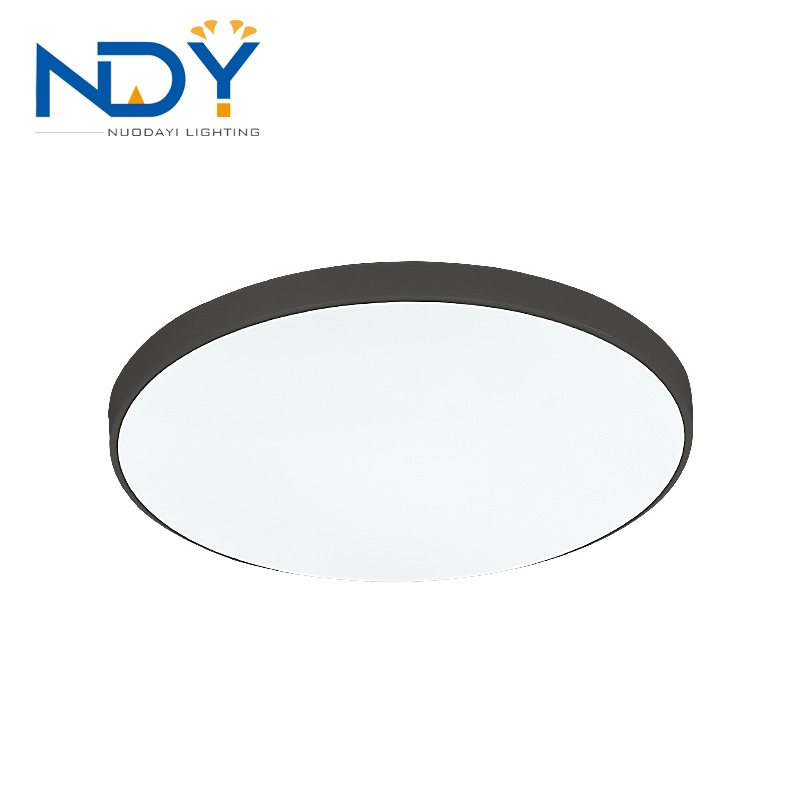 High Brightness Round Ceiling Light Ceiling White LED Ceiling Light for Living Room Bedroom