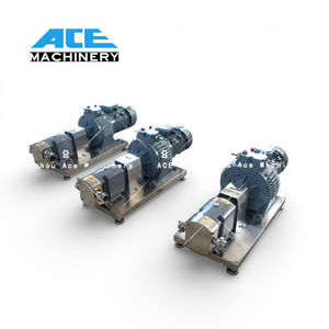 Bomba de Lubricación Eléctrica de Acero Inoxidable al Mejor Precio, Móvil, Horizontal, de Lóbulos Rotatorios, con 1 Año de Garantía OEM/ODM, Piezas de Repuesto Estándar para Diésel - Product Image 2