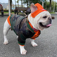 Ensemble pull et bonnet tricotés modernes pour reptiles, collection printemps, idéal pour le dropshipping