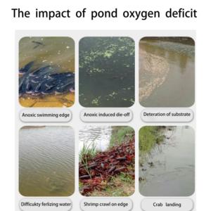 Tableta de oxígeno para cultivo de camarones y peces, mejora el aumento de la calidad del agua, reduce las toxinas, el olor del fondo de lodo, la acuicultura de liberación lenta - Product Image 6