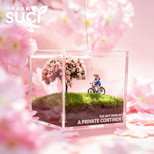 Miniatura de Bicicleta y Chica en Césped, Paisaje en Miniatura, Planta en Maceta para Oficina/Escritorio, Vegetación Creativa, Regalo para Personas Perezosas - Product Image 3