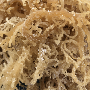 Musgo de mar seco natural de alta calidad/musgo de mar seco de sal musgo de mar Premium de 99 Gold Data Vietnam - Product Image 1
